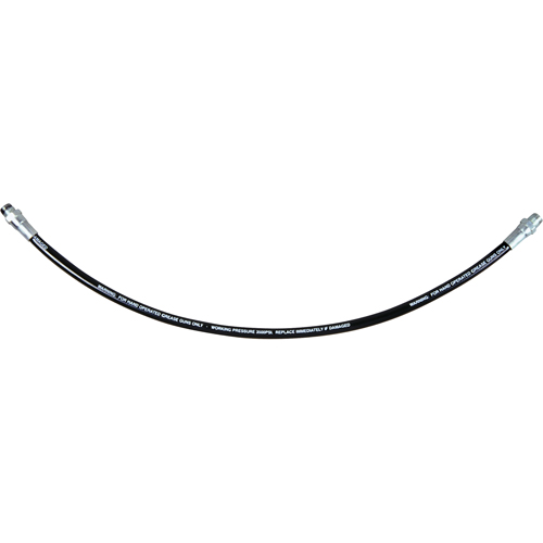 Flexible Grease Hose, 12" L Planification Entrepots Molloy