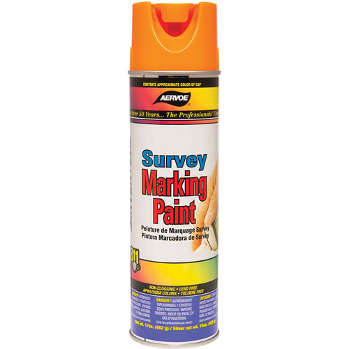 Peinture de marquage &agrave; base de solvant, 17 oz, Canette a&eacute;rosol Planification Entrepots Molloy
