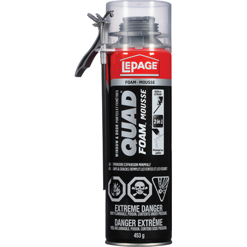 Mousse d'installation de portes & fen&ecirc;tres Quad Mousse, Canette a&eacute;rosol, Havane Planification Entrepots Molloy