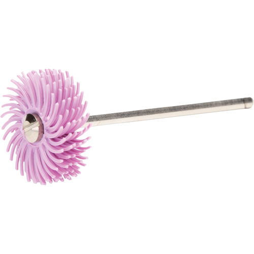 Scotch-Brite Radial Bristle Discs, Pumice Grit, 3/4" Dia. Planification Entrepots Molloy