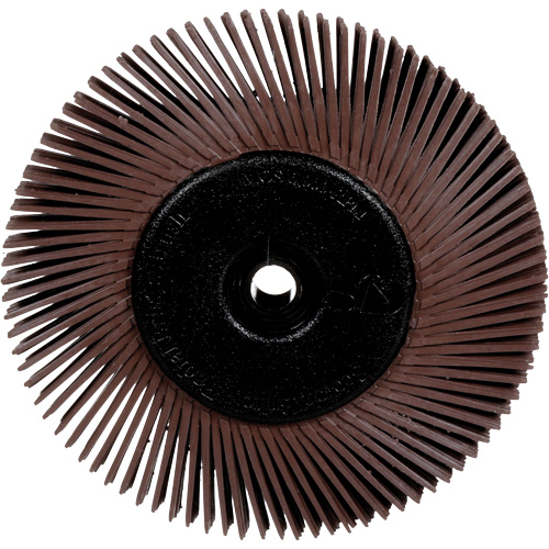 Brosses radiales bristle pour meuleuses d'&eacute;tabli, Grain 36X, 6" dia. Planification Entrepots Molloy