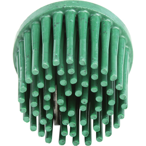 Roloc Bristle Discs, 120 Grit, 1" Dia. Planification Entrepots Molloy