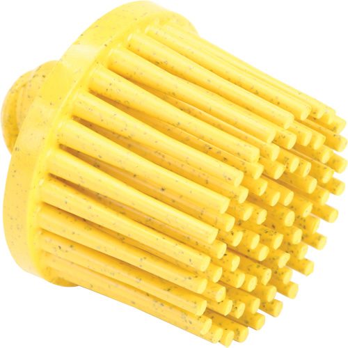 Roloc Bristle Discs, 80 Grit, 1" Dia. Planification Entrepots Molloy