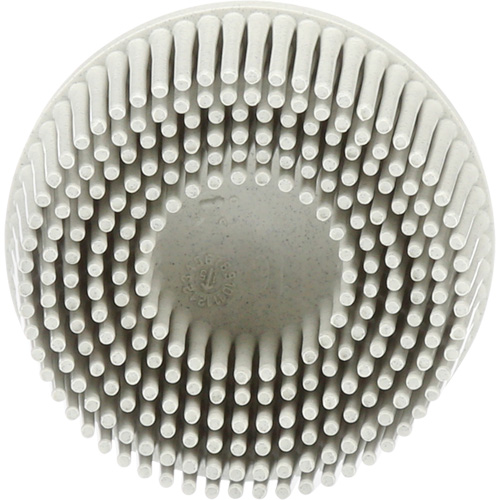 Scotch-Brite Roloc Bristle Discs, 120 Grit, 2" Dia. Planification Entrepots Molloy