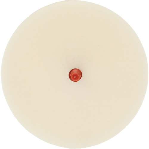 Disque pour enlever les bandes et les adh&eacute;sifs pour moulures Scotch-Brite, 4" dia. Planification Entrepots Molloy