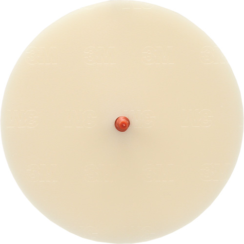 Disque Scotch-Brite 7502 pour retrait de colle et de bandes de moulage, 6" dia. Planification Entrepots Molloy