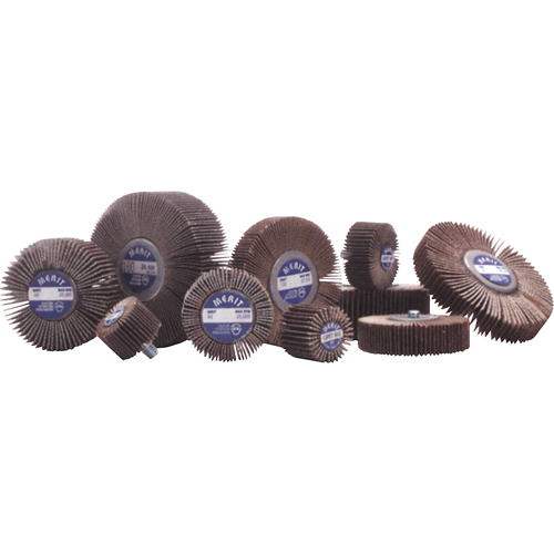 Flap Wheels - Mandrel Mounted Flap Wheels, Aluminum Oxide/Ceramic, 60 Grit, 1" x 1" x 1/4" Planification Entrepots Molloy