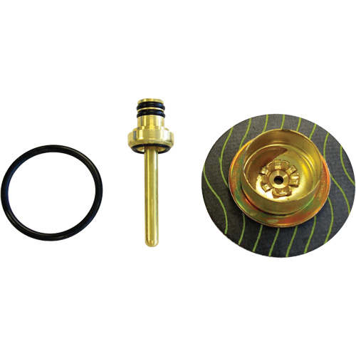 Filter/Regulator - Relieving Diaphragm & Valve Assembly Planification Entrepots Molloy