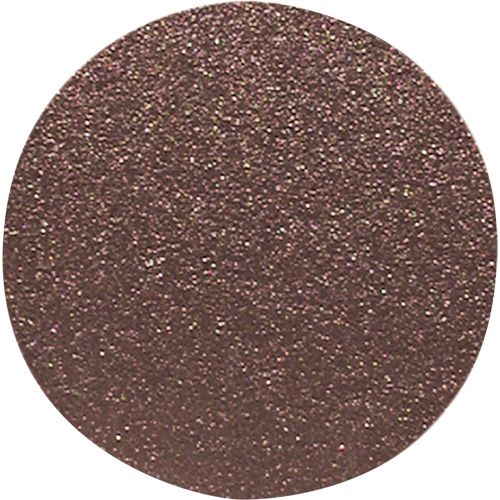 Disque de ponçage pour le bois, 12" dia., Grain 80 Planification Entrepots Molloy