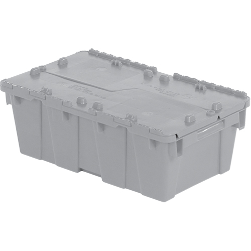 Flipak&reg; Polyethylene Plastic (PE) Distribution Containers, 19.7" x 11.8" x 7.3", Grey Planification Entrepots Molloy