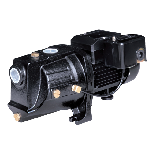 Dual Voltage Cast Iron Shallow Well Jet Pump, 230 V, 710 GPH, 1/2 HP Planification Entrepots Molloy