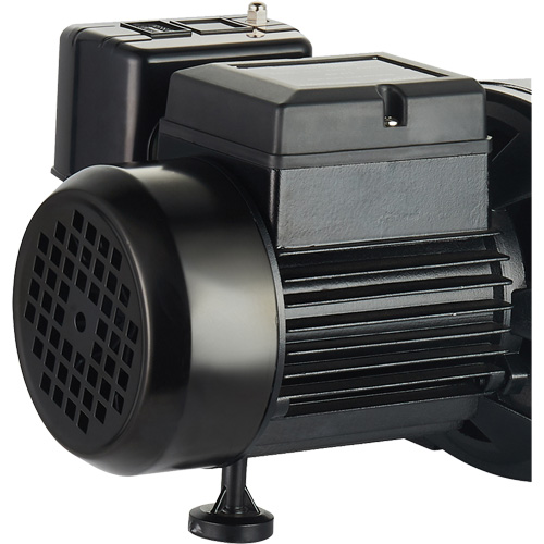 Dual Voltage Cast Iron Shallow Well Jet Pump, 115 V/230 V, 1100 GPH, 1 HP Planification Entrepots Molloy
