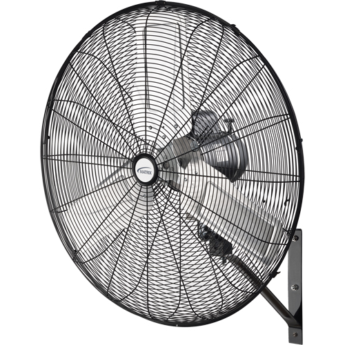 Oscillating Wall Fan, Industrial, 2 Speed, 30" Diameter Planification Entrepots Molloy
