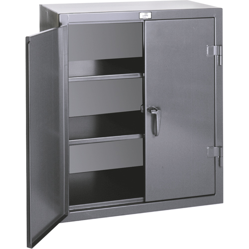Armoires de rangement hauteur comptoir, Acier, 2 Tablettes, 42" h x 36" la x 20" P, Gris Planification Entrepots Molloy