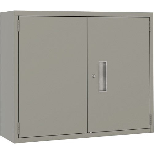 Wall Mounted Cabinet, Steel, 2 Shelves, 30" H x 36" W x 12" D, Grey Planification Entrepots Molloy