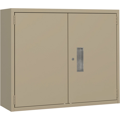 Wall Mounted Cabinet, Steel, 2 Shelves, 30" H x 36" W x 12" D, Beige Planification Entrepots Molloy