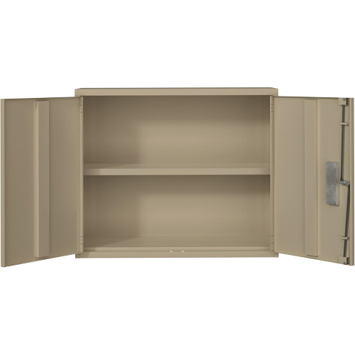 Wall Mounted Cabinet, Steel, 2 Shelves, 30" H x 36" W x 12" D, Beige Planification Entrepots Molloy
