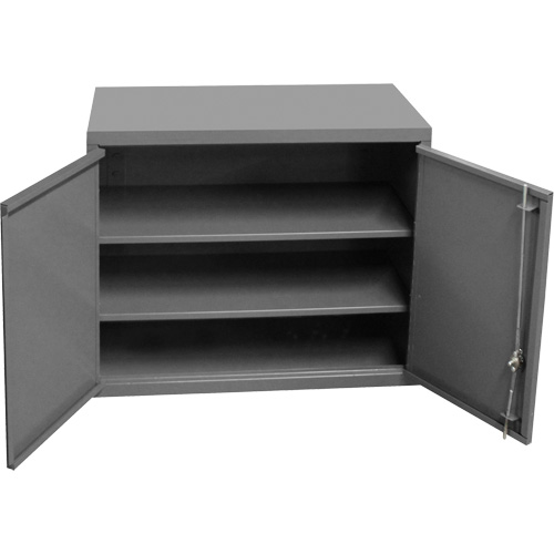 Wall-Mounted Cabinet, 27" H x 13-11/16" W x 35-7/8" D, 2 Shelves, Steel, Grey Planification Entrepots Molloy