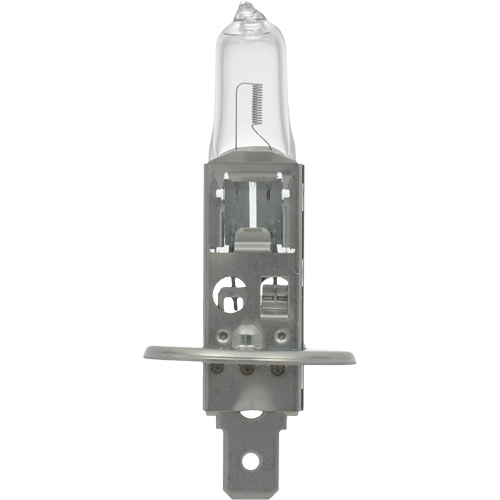 64155 Ampoule automobile de base, Halog&egrave;ne, 78 W, Blanc cass&eacute; Planification Entrepots Molloy