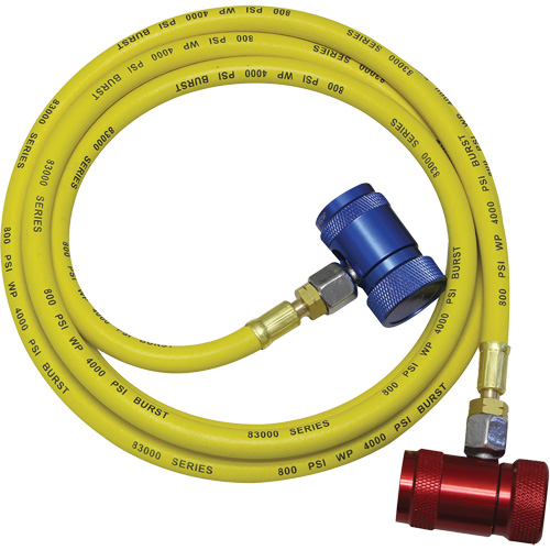 Ensemble flexible de rinçage pour syst&egrave;me de climatisation R1234yf Planification Entrepots Molloy