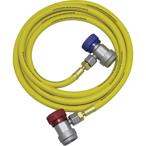 R134a A/C System Flush Hose Assembly Planification Entrepots Molloy