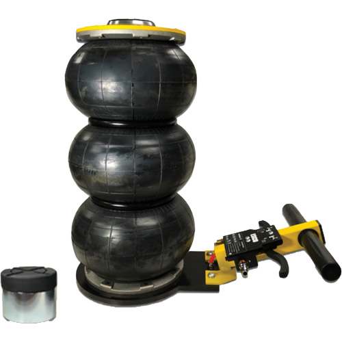 V&eacute;rin &agrave; coussin gonflable triphas&eacute; s&eacute;rie Pro, 2 tonne(s), 22" Hauteur &eacute;lev&eacute;e Planification Entrepots Molloy