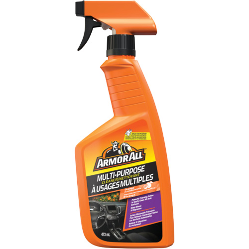Multi-Purpose Auto Cleaner, 16 oz./473 ml, Trigger Bottle Planification Entrepots Molloy