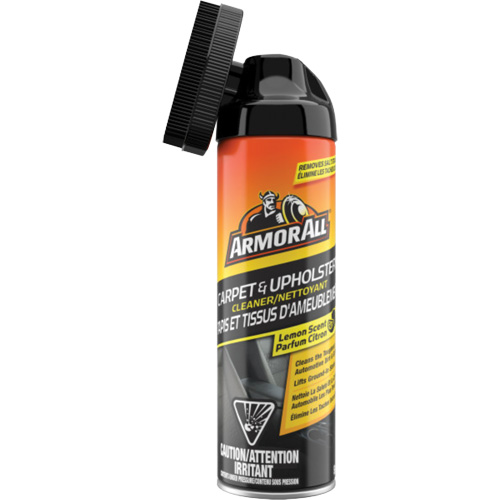 Nettoyant pour tapis et garnitures en tissu Planification Entrepots Molloy