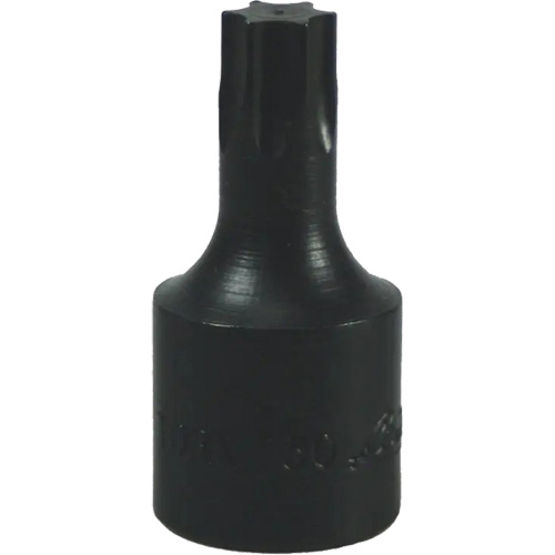 T-50 Torx&reg; Bit Planification Entrepots Molloy