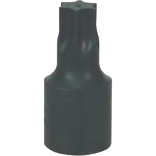 Large T-70 Torx&reg; Bit Planification Entrepots Molloy