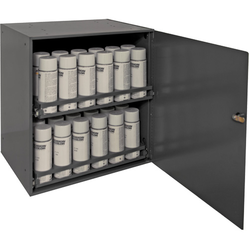 Aerosol Storage Cabinet, Steel, 21-7/8" H x 15-15/16" W x 20-5/16" D, Grey Planification Entrepots Molloy