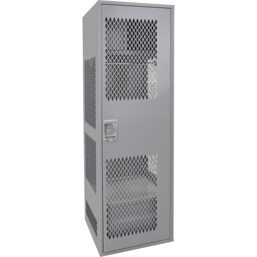 Casier pour &eacute;quipement avec porte, Acier, 24" la x 24" p x 72" h, Gris Planification Entrepots Molloy