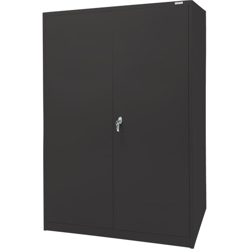 Armoire d'entreposage, Acier, 4 Tablettes, 78" h x 48" la x 24" P, Noir Planification Entrepots Molloy