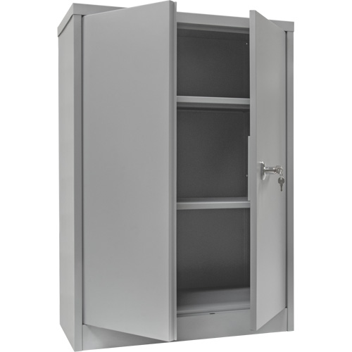 Armoire de rangement &agrave; hauteur de comptoir, Acier, 2 Tablettes, 42" h x 36" la x 24" P, Gris Planification Entrepots Molloy