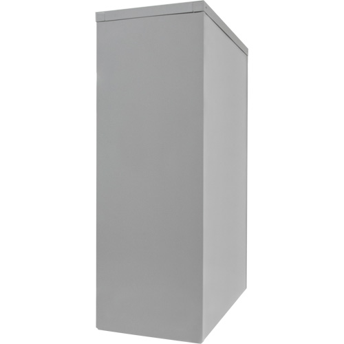 Armoire de rangement &agrave; hauteur de comptoir, Acier, 2 Tablettes, 42" h x 36" la x 24" P, Gris Planification Entrepots Molloy