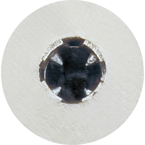 Zip-It&reg; Plasterboard Anchor with Drill Point Planification Entrepots Molloy