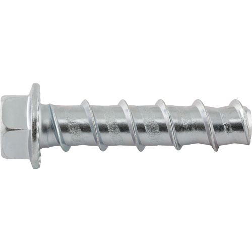 Wedge Bolts, Carbon Steel, 1/2" x 2-1/2" Planification Entrepots Molloy