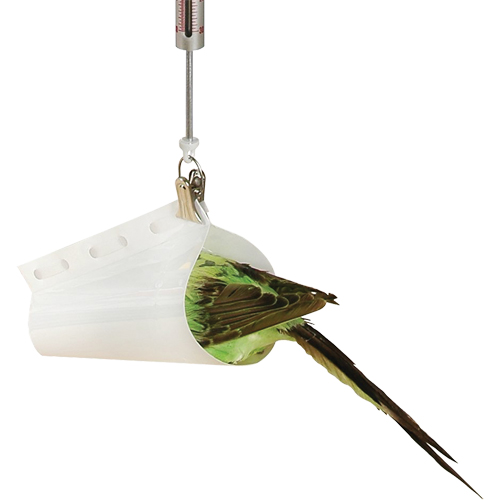 Micro Spring Scale Accessory - Bird Weighing Cone Planification Entrepots Molloy
