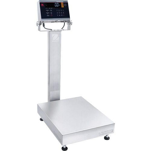 Defender 6000 Washdown Bench Scale, 100 lbs. Capacity, 19-7/10" L x 15-7/10" W Planification Entrepots Molloy