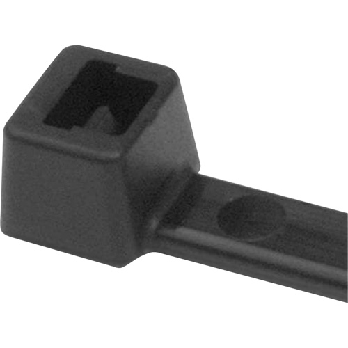 Attaches de c&acirc;ble PA66, Longueur 5-1/2", R&eacute;sistance &agrave; la traction 18 lb, Noir Planification Entrepots Molloy