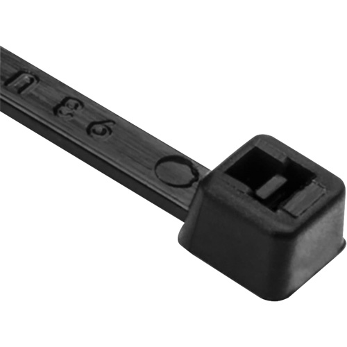 Attaches de c&acirc;ble PA66, Longueur 8", R&eacute;sistance &agrave; la traction 50 lb, Noir Planification Entrepots Molloy