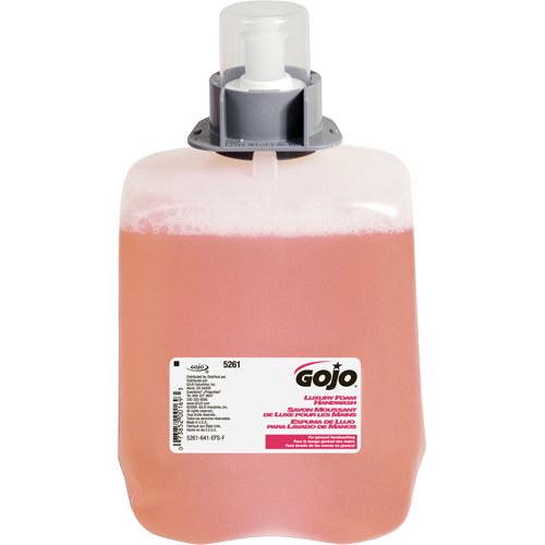 Savon pour les mains de luxe FMX-20, Mousse, 2 L, Parfum&eacute; Planification Entrepots Molloy