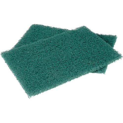 Tampons manuels Scotch-Brite, &agrave; r&eacute;curer, 6" la x 9" l Planification Entrepots Molloy