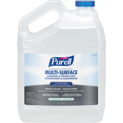 Professional Multi-Surface Sanitizer & Disinfectant, 3.78 L, Jug Planification Entrepots Molloy