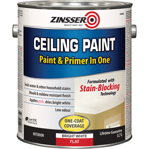 Ceiling Paint & Primer in One, White, Very Flat, 3.78 L, Gallon Planification Entrepots Molloy