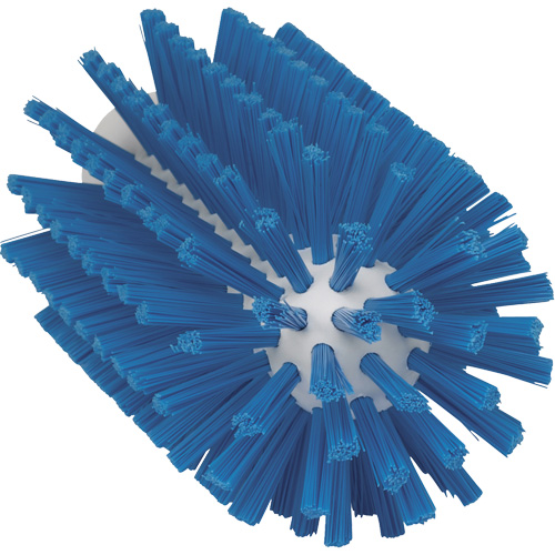 Brosse pour l'hygi&egrave;ne des aliments, Soies Moyen, Longueur de 6", Bleu Planification Entrepots Molloy
