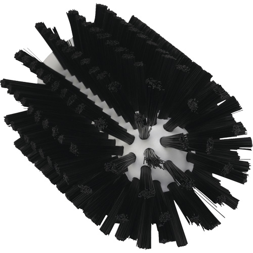 Brosse pour l'hygi&egrave;ne des aliments, Soies Moyen, Longueur de 6", Noir Planification Entrepots Molloy
