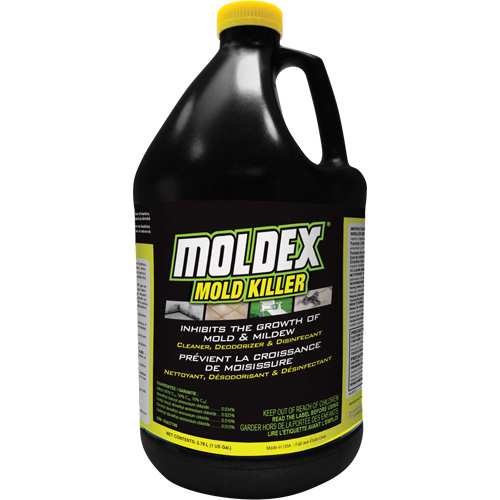 Moldex&reg; Mold Killer, 3.78 L, Jug Planification Entrepots Molloy