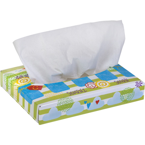 Papiers-mouchoirs pour enfants de Kleenex, 2 pli, 8,4" lo x 5,5" la, 40 feuilles/boîte Planification Entrepots Molloy
