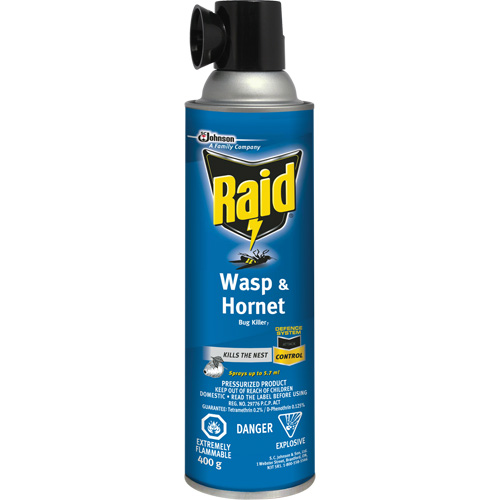 Insecticide contre les gu&ecirc;pes et les frelons Raid, 400 g, &agrave; base de solvant Planification Entrepots Molloy